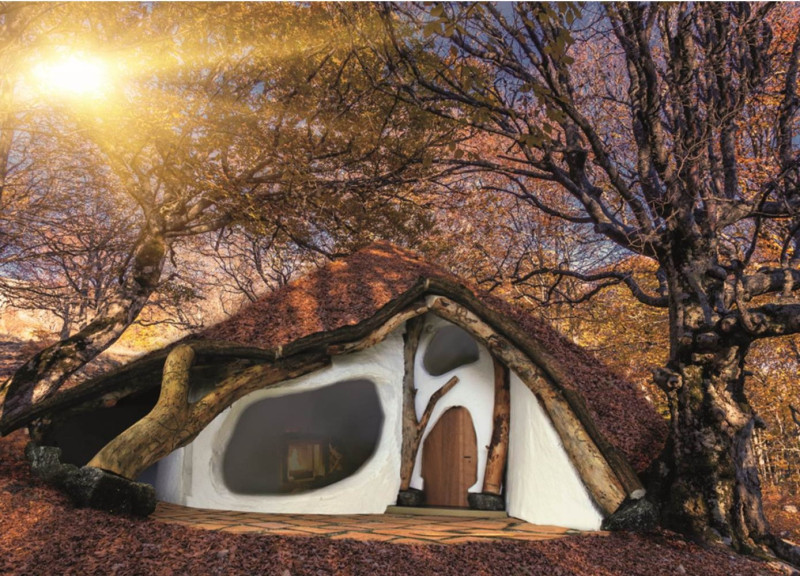 Treehousing Through Deconstruction with Community Roots