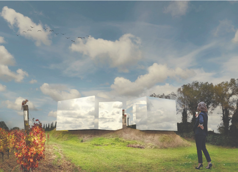 Reflections of Glass and Time in a Vineyard Experience