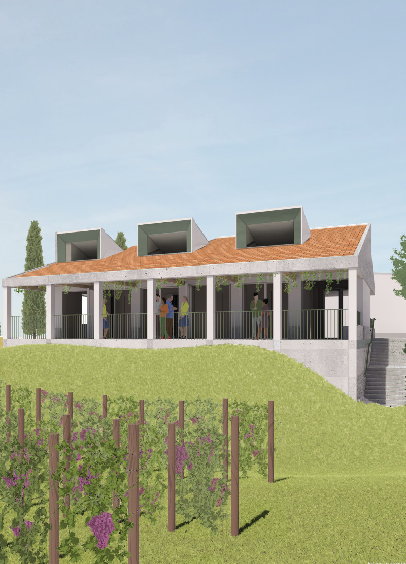 Wooden Ceiling and Green Doors in a Vineyard Tasting Room