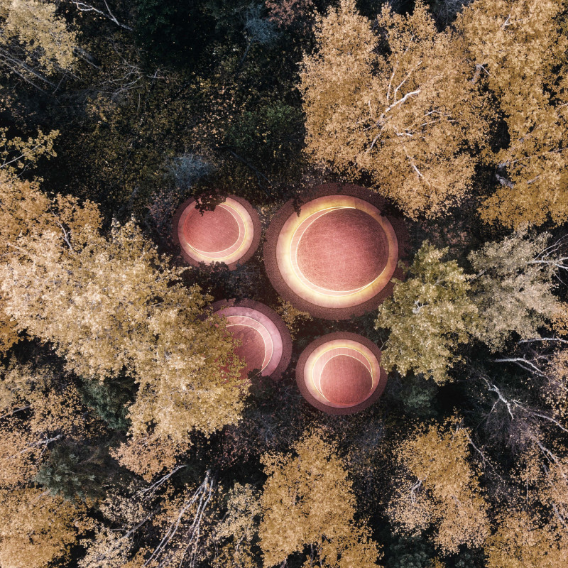 Larch Panels and Curved Pathways in a Tranquil Forest Retreat