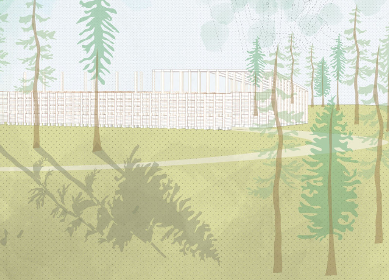 Vertical Wooden Columns Integrating Light and Memory in a Forest Setting