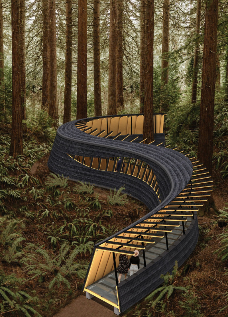 Charred Wood Pavilion Embracing Mycelium Interactions in Oregon Forest