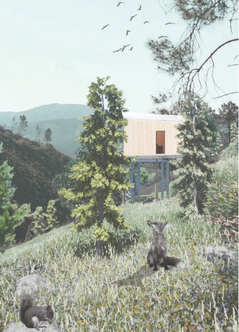 Elevated Timber Retreat with Integrated Skylights and Composting Solutions