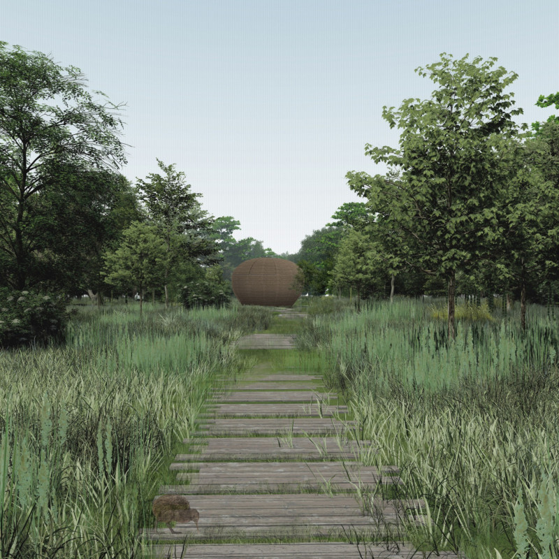 Cedar Shingles and Skylights Create Grounded Retreat in Nature