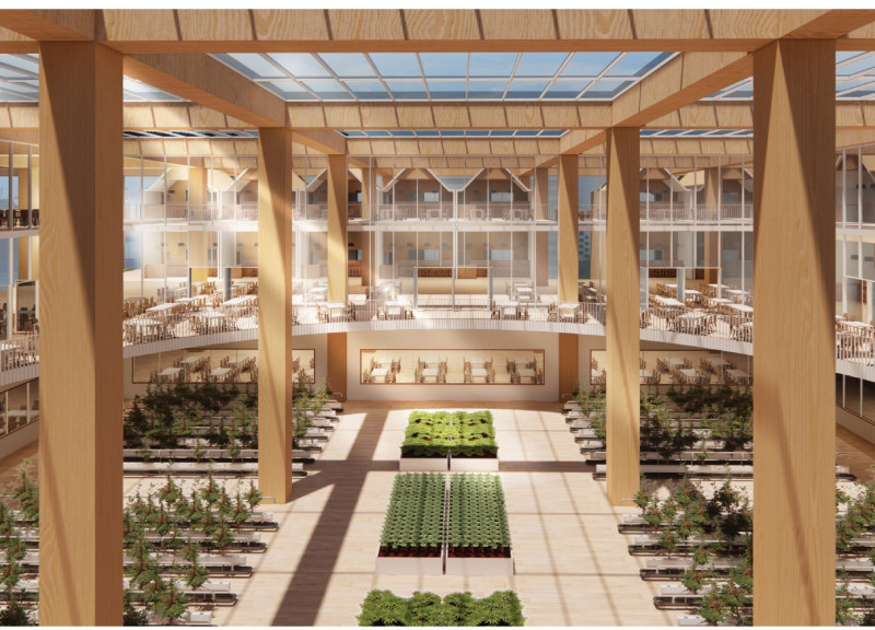 Hydroponic Garden with Cross-Laminated Timber for Urban Living