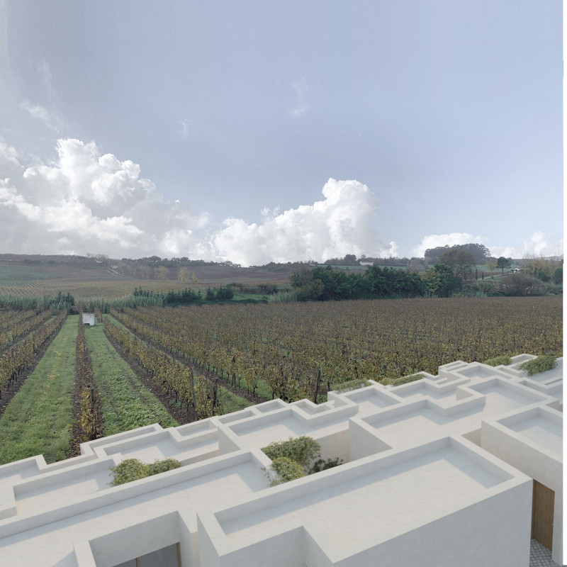 Green Walls and Local Stone Create Spatial Harmony in Vineyard Community Hub