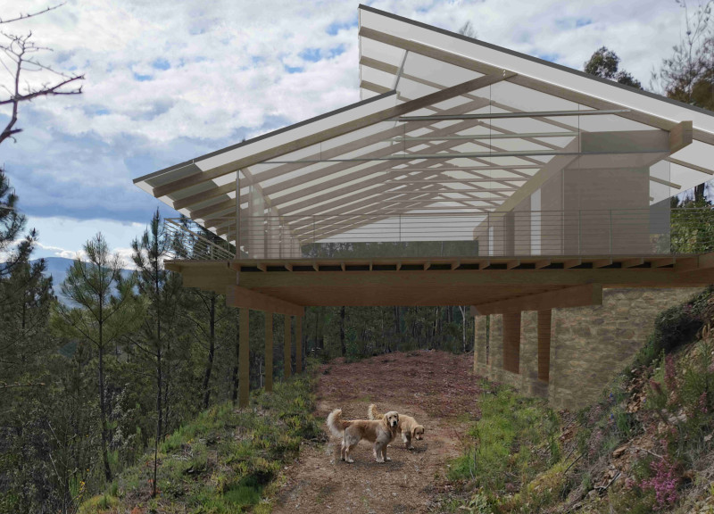 Ceramic Radiant Heating and Evoniq Clerestory Illuminate Sustainable Yoga Space