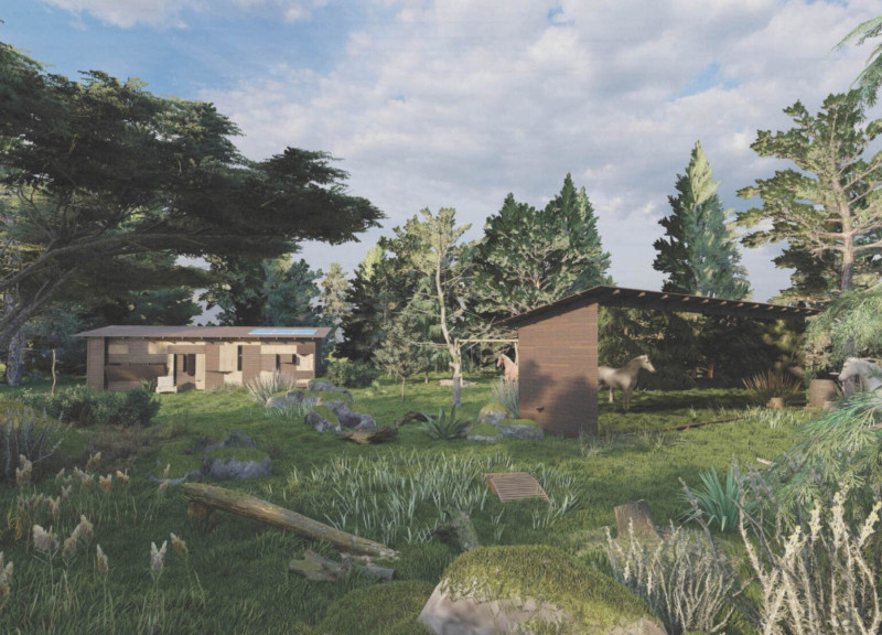 Charred Wood and Reflective Surfaces in Compact Forest Living