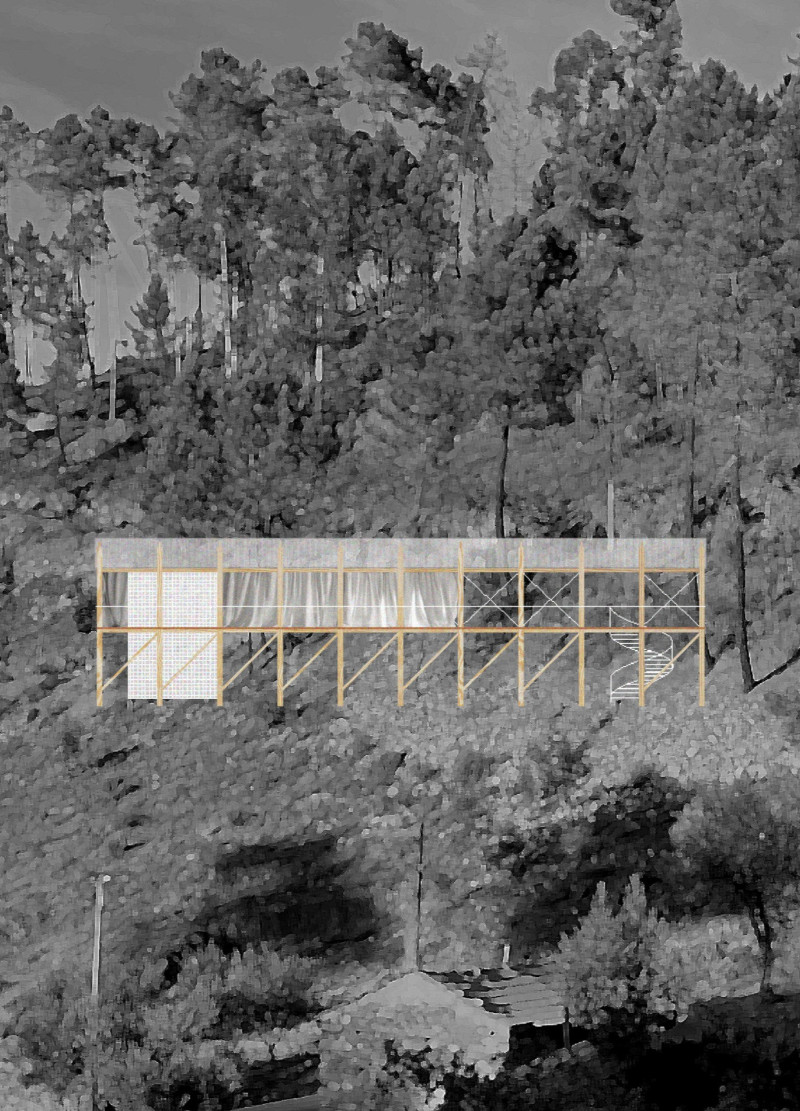 Timber Columns Framing Serenity Beneath a Translucent Roof