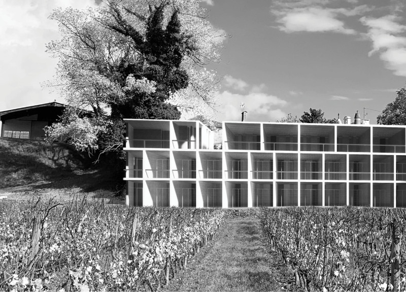 Concrete Pathways Enhancing Vineyard Views in a Wine Hotel Setting