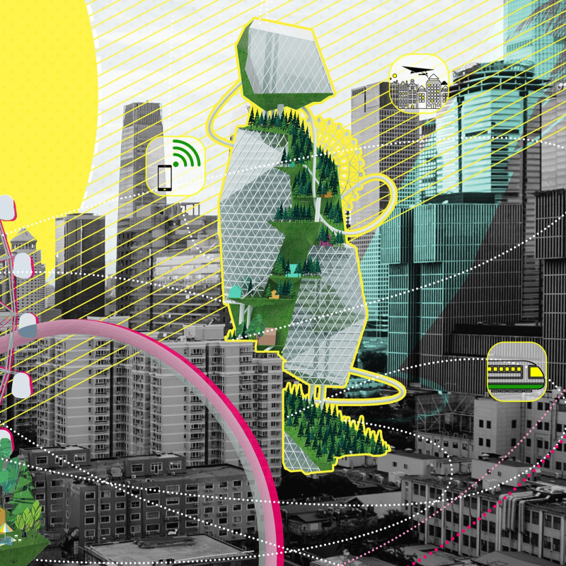 Pet-Friendly Spaces Enhanced by Mathematical Organization