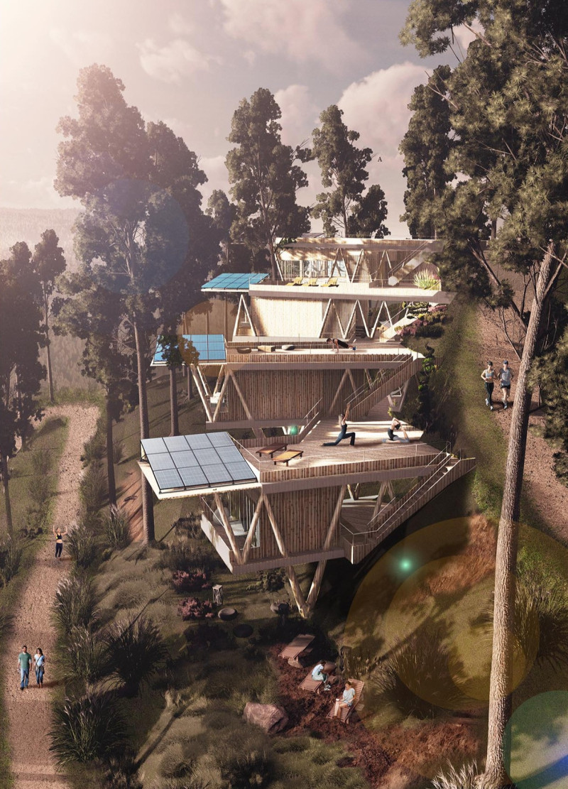 V-Shaped Pinewood Structure Embraces Nature for Mindful Retreat