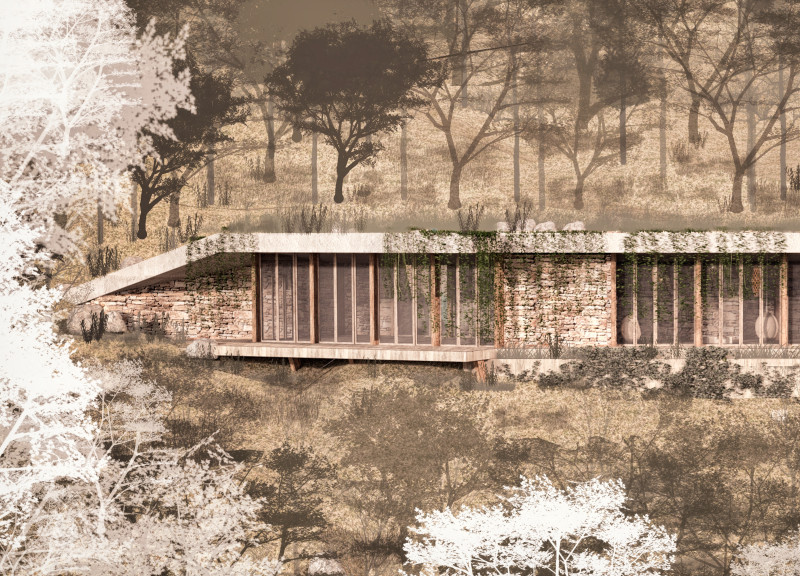 Rainwater-Collecting Retreat with a Green Roof and Natural Stone Features