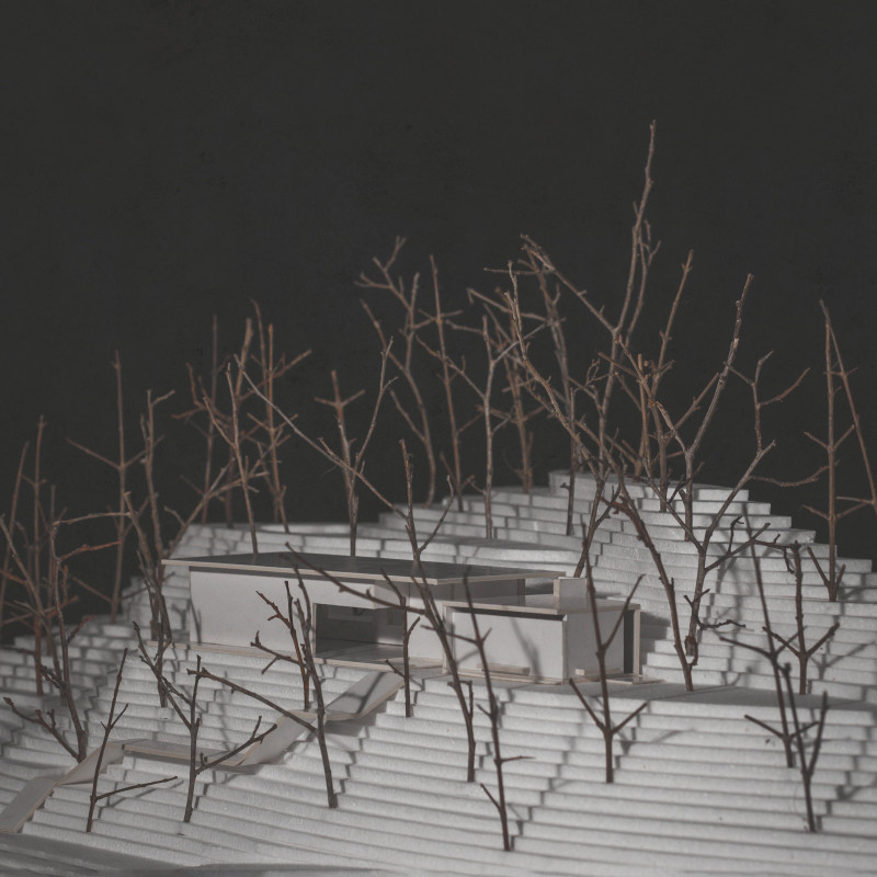 Elevated Yoga Space with Stone Base and Green Roof Integration