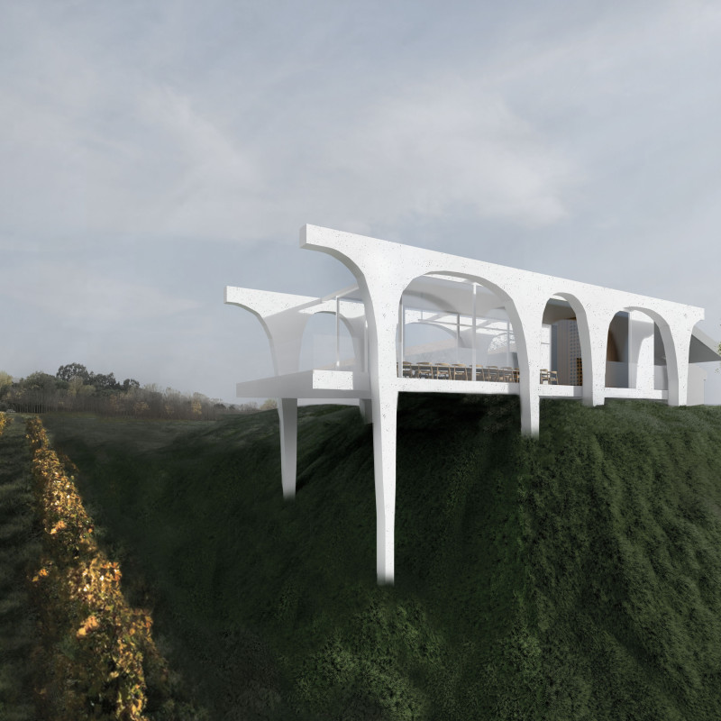 Reinforced Concrete Facades and Extensive Glazing in a Vineyard Tasting Room