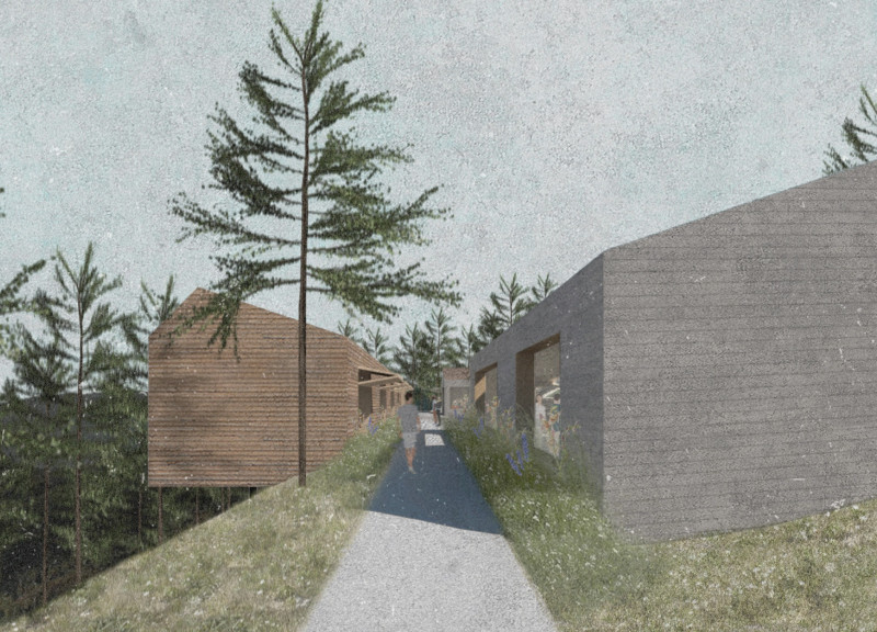 Board-Formed Concrete Integration in a Nature-Connected Wellness Space