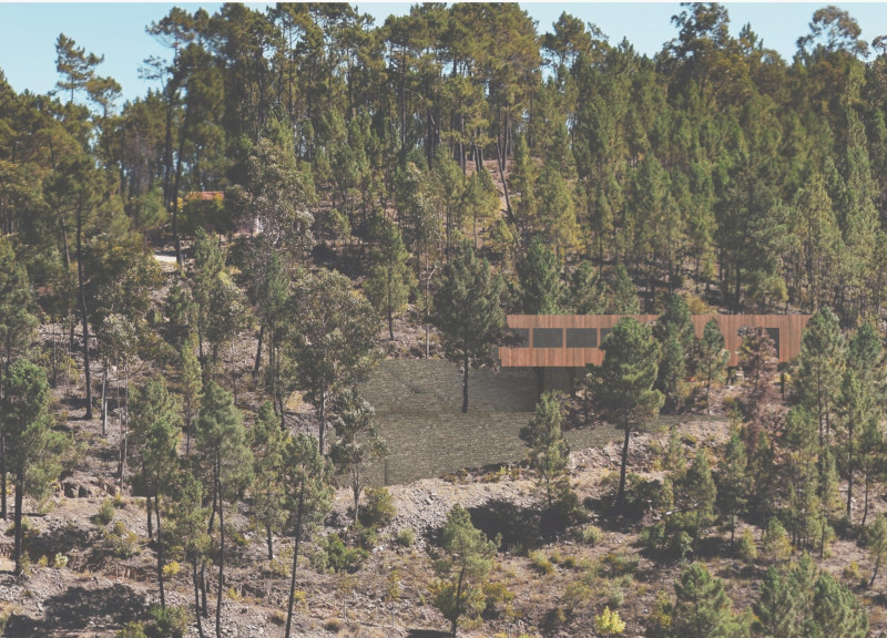 Elevated Wood Shelter Embracing Nature and Community Harmony