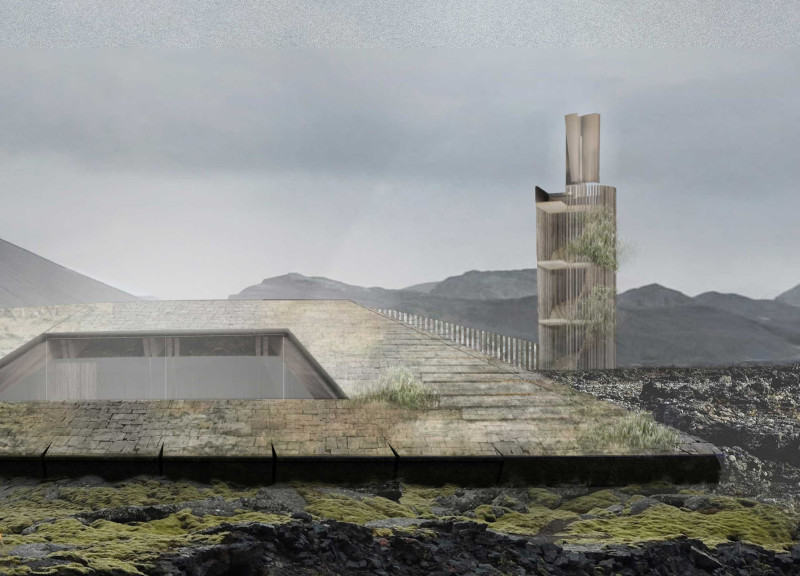 Timber Cladding and Moss Growth in a Dual-Plate Visitor Center