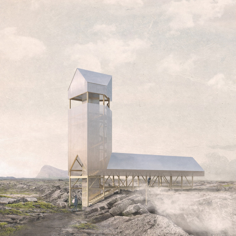 Timber Elevations over Tectonic Crevices in Volcanic Landscape