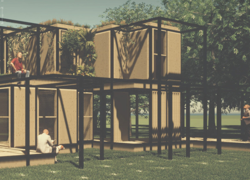 Natural Light and Flexible Layout in a Modular Wood Home