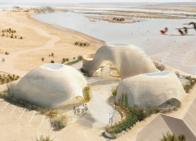 An Immersive Wetland Learning Center Built from Natural Materials