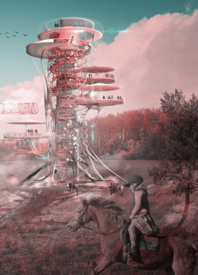 Curved Wood and Glass Structure Offering Elevated Nature Views