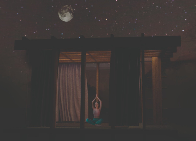 Bamboo Serenity in a Glass-Encased Meditation Space