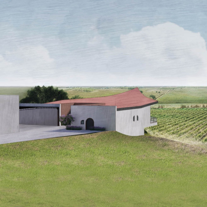 Curved Roof Design with Solid Wood Table for Wine Tasting Experience