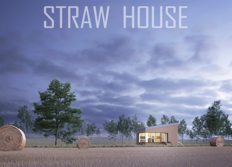 Clay-Finished Home with Straw Insulation and Water Management Solutions