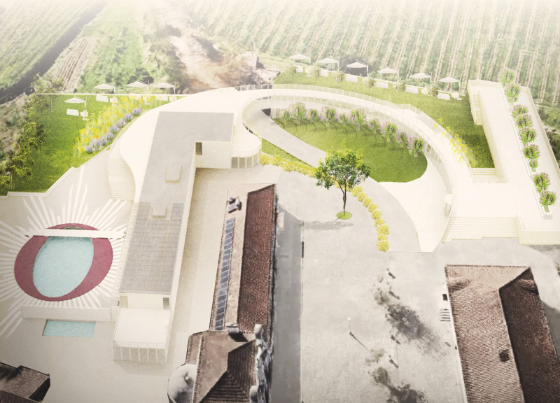 Curvilinear Design Featuring Natural Plaster and Panoramic Views in Vineyard Hospitality