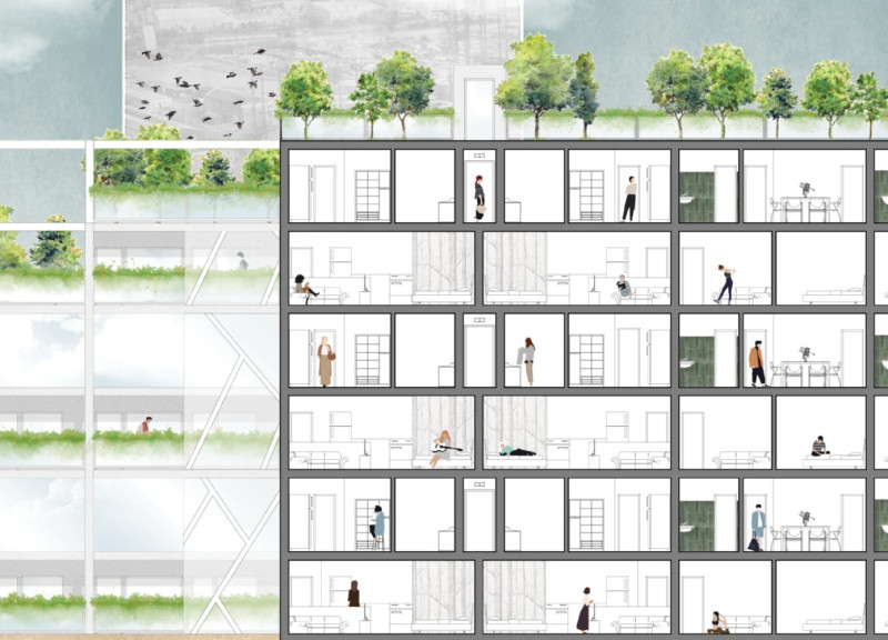 Terraced Living Spaces with Spruce and Pine in a Sustainable Community Design