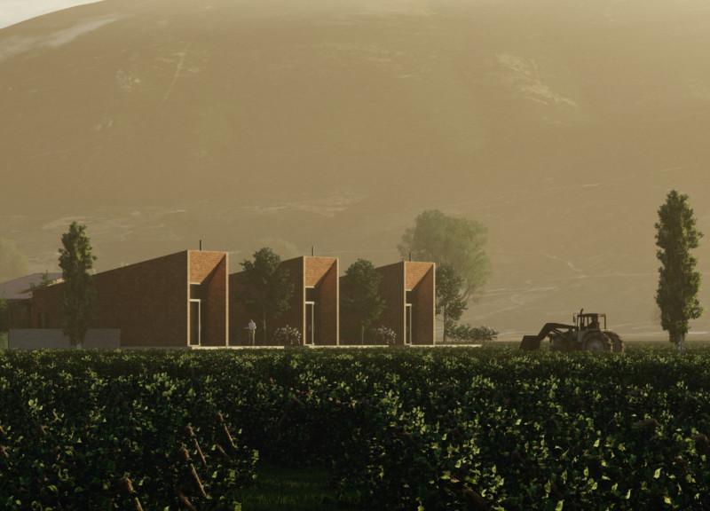 Courtyard Retreats Embracing Sun Orientation and Vineyard Views