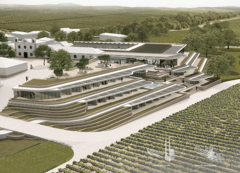 Natural Stone Terraces and Glass Panes Create Seamless Integration with Vineyard Landscape