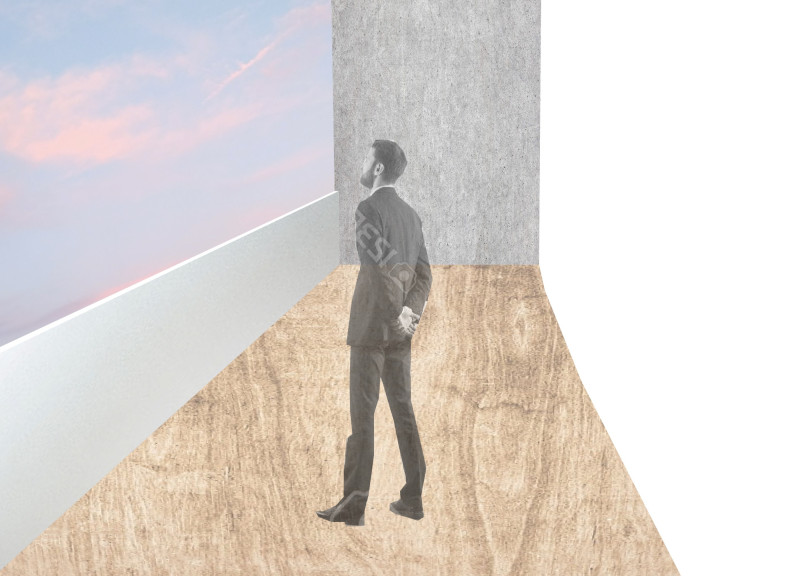 Passive Housing with Triple Pane Windows and Integrated Roof Garden