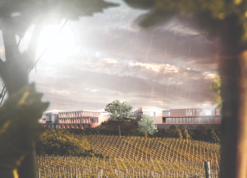 Underground Connection Tunnel Enhancing Vineyard Experience with Elongated Forms