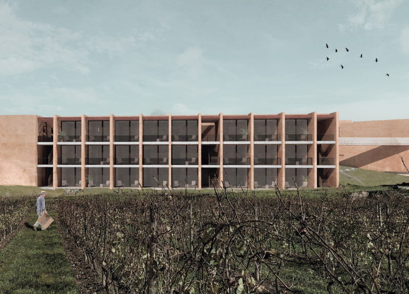 Terracotta Tones Framing Vineyards in a Community-Focused Retreat