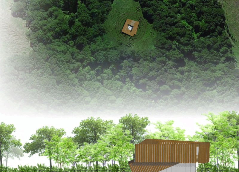 Circular Meditation Space Crafted from Kauri Wood with Natural Light Integration