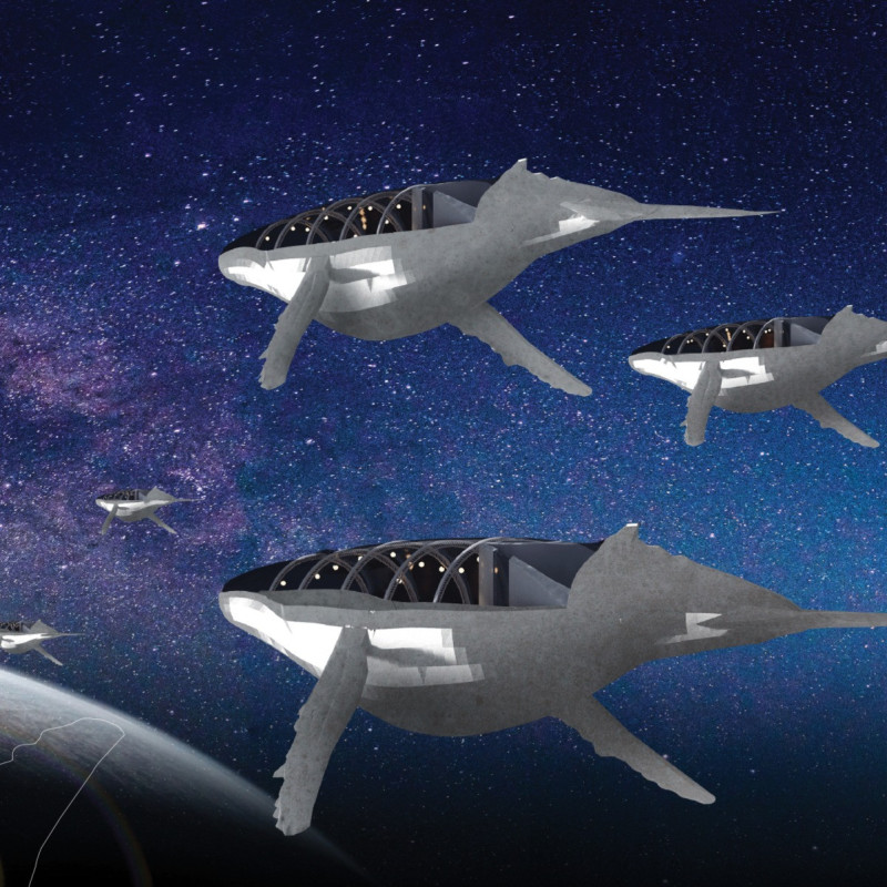 Nomadic Living Within Organic Forms and Natural Materials