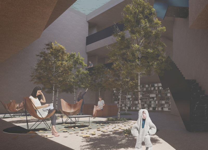 Cascading Terraces Embracing Vineyard Views