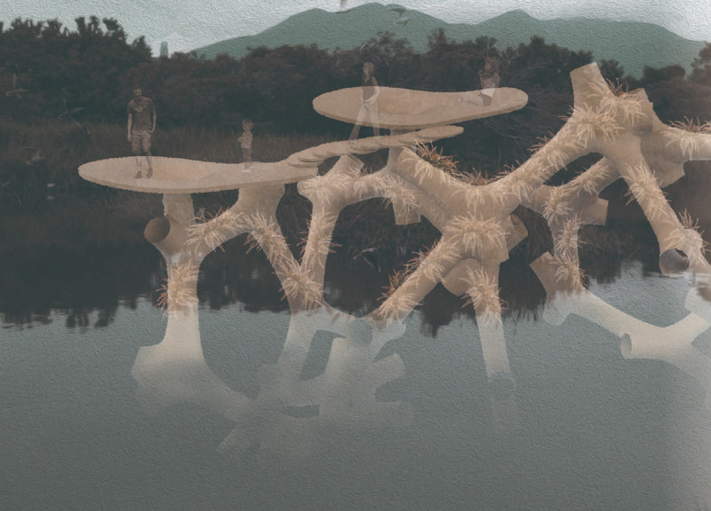 Ferns and High-Density Porous Layers in Urban Water Filtration