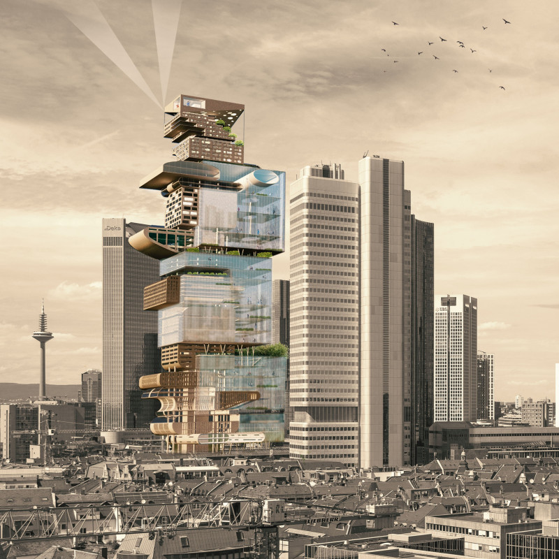 Cubic Forms Defining Community Spaces with a Central Observatory