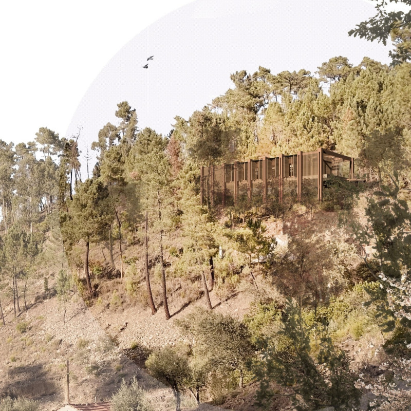 Natural Light Filtered Through Wood and Glass in a Tranquil Retreat