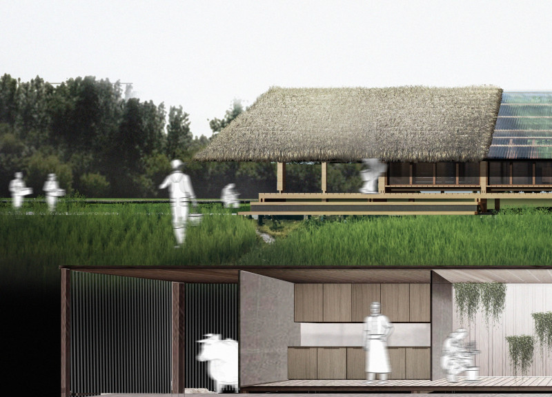 Thatch Roofs and Palm Leaves in Flexible Rural Housing
