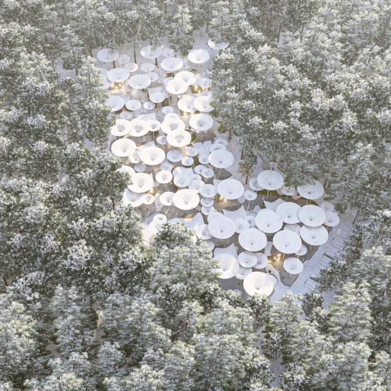 Paths of Reflection Under Umbrella-Trees