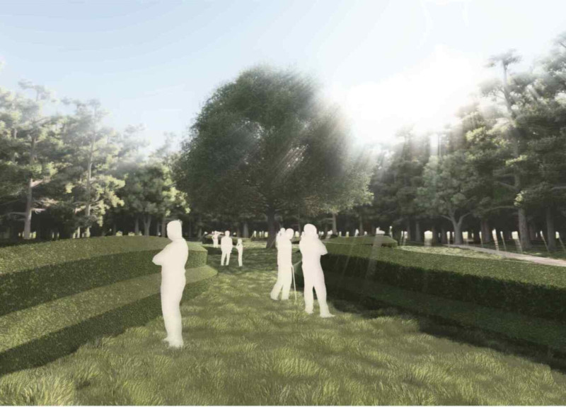 Cellular Concrete Roots Intertwined with Pedunculate Oak in a Reflective Memorial Space