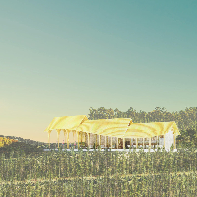 Natural Bamboo Arches Cultivate Community Engagement in a Serene Yoga Habitat