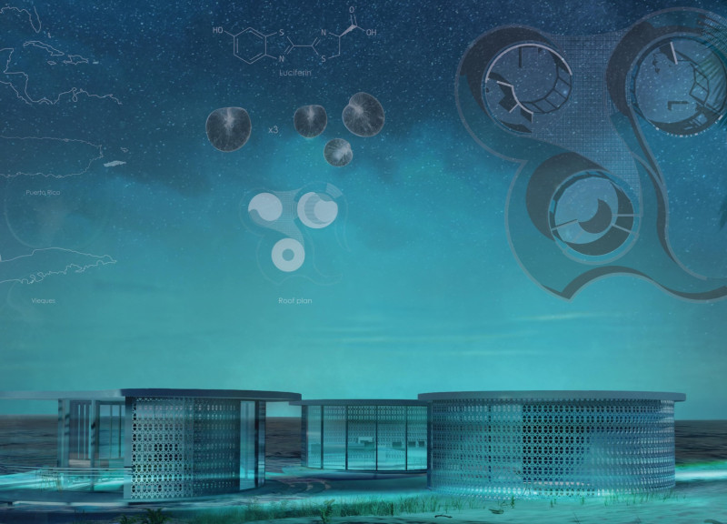 Bio-Luminescent Experience Within Circular Forms at Coastal Villa