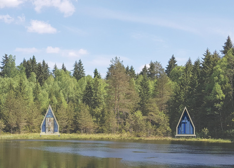 Moss-Covered Roofs Enhancing Community Retreats with Local Wood