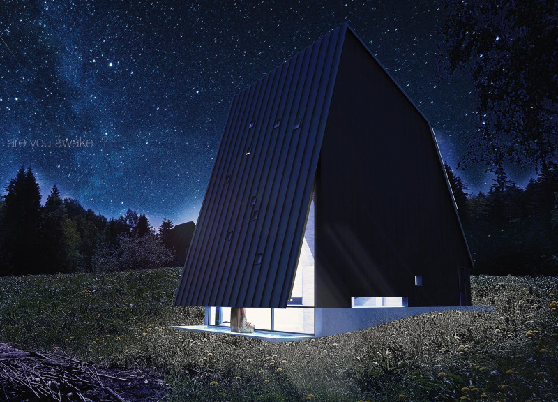 Blackened Wood Structure Emphasizing Gold Leaf Accents for Urban Wellness