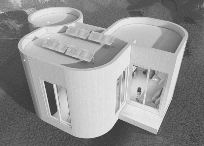 Interior Garden Concept with Cross-Laminated Timber Panels